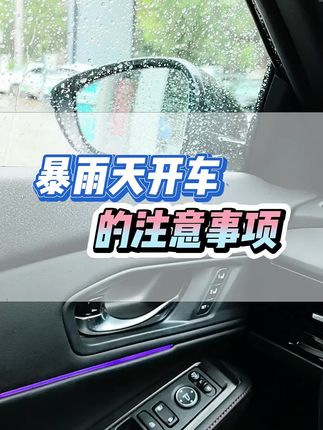 #用车知识 暴雨天开车的注意事项 请查收#本田 #郑州 #暴雨预警