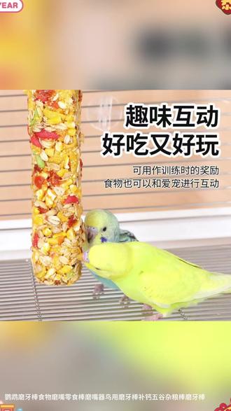鹦鹉磨牙棒食物磨嘴零食棒磨嘴器鸟用磨牙棒补钙五谷杂粮棒磨牙棒 #鹦鹉 #鹦鹉零食 #鹦鹉谷物棒 #鹦鹉磨喙