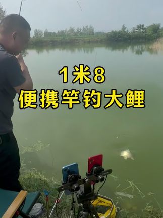 1米8多节便携竿钓鲤鱼#便携竿 #鲤鱼