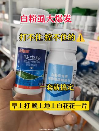 治白粉虱效果太牛 #白粉虱 白粉虱专用套餐 打不住你来打我#病毒病防治#病虫害防治 #黄瓜病毒病 #辣椒病毒病 @DOU+小助手 @抖音小助手 @