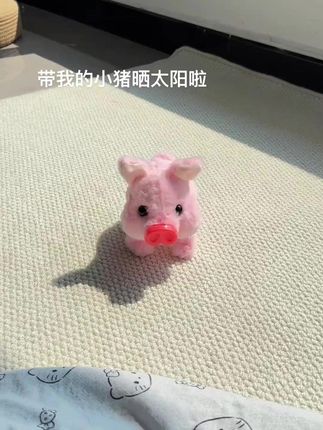 欢迎家庭新成员~ 猪猪酱Jiang ·-·🐽 #小猪  #可爱
