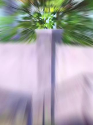 【镜头先切游戏激战画面】刚被闪光盾糊脸还想跑?AA12雪隼贴脸直接扫!【切装备展示】这波神装组合直接拉满容错率—— AA12雪隼近距离喷子无解,爆炸猎弓+爆炸弓双AOE清场,卡德尔墨守头扛伤稳如老狗,闪光盾控场让敌人找不着北,再配上黑卡解锁额外优势,从刚枪到苟分全拿捏! 现在入手这套,队友都得喊你带飞!别等落地成盒才后悔,赶紧冲! #和平吃鸡神装推荐 #吃鸡必带装备 #AA12雪隼实战 #爆炸弓用法技巧