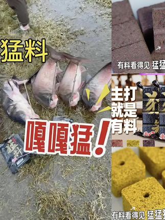 鲢鳙饵料方块饵海竿浮钓鲢鳙黑鸭子猛料抛竿钓大鱼鲤鱼土鲮鱼饵料#鲢鳙饵料 #鲮鱼饵料 #饵料方块