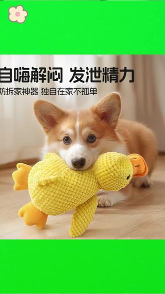 狗狗玩具发声磨牙耐咬自嗨解闷神器宠物用品 #宠物玩具推荐 #狗狗解闷神器 #耐咬磨牙玩具 #宠物用品必备 #狗狗自嗨玩具