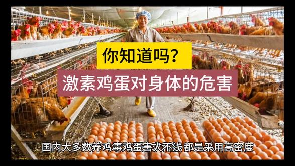 激素鸡蛋你了解多少?