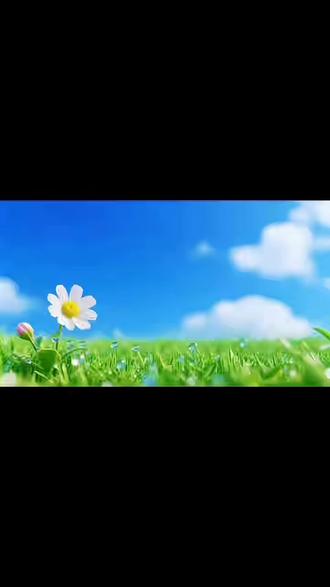 以美育心,以文化人。
一笔一画皆是情,一纸一剪总关年。
现代双语实验学校学子用笔墨与巧手迎新春,在传统民俗中传承文化,绽放少年风采!