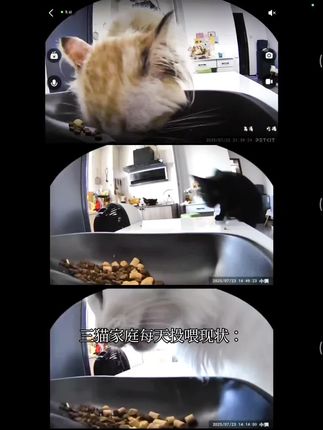 猫咪的日常投喂现状。#petkit小佩 #自动喂食器#小佩自动喂食器 #小佩可视喂食器 #小佩双子星喂食器