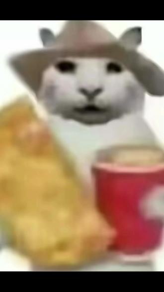 只有你们在玩梗#干嘛猫#没经济没建模