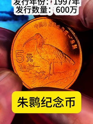 #纪念币#收藏#老钱币@抖音小助手