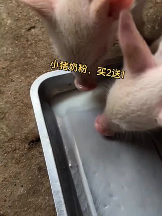 4U- n@d.Nw 04/29 【中博特仔猪奶粉小猪专用均衡奶粉拍二袋送1袋营养易消化】复制此条:/ 消息打开抖音,查看商品详情。【^^237lVeEWWZ8ǚǚ】 https://v.douyin.com/cY4XEufRnj4/