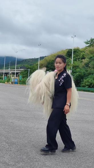 今天我们来到柯街用施甸方言跟大家介绍我们的小白狮吊孝#女舞狮 #舞狮传承人 #体验不一样的民族文化