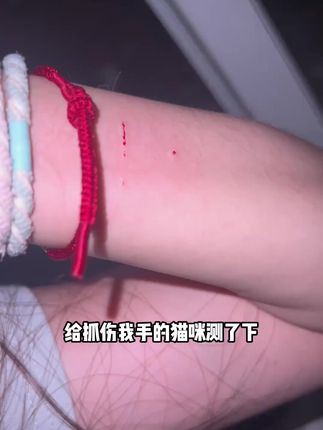 森普特犬猫狂犬病抗原检测试纸养宠方便快速推荐检测卡#森普特检测卡 #犬猫检测卡 #抗原检测试纸