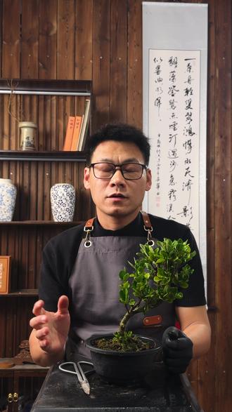 绿植养护|栀子花 #室内绿植 #树桩 #微盆景 #高端盆景 #栀子花
栀子花,花叶发黄多半是缺酸哦!
粉丝盆友们,还遇到有不同小桩叶片发黄的问题,可以留言或者私信。
我会一一解答