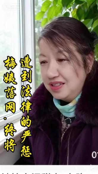 人贩子"梅姨"真名谢某某,藏匿了20多年恶魔,经于落网了。#法网恢恢疏而不漏 #善恶终有报#正能量 #严惩人贩子