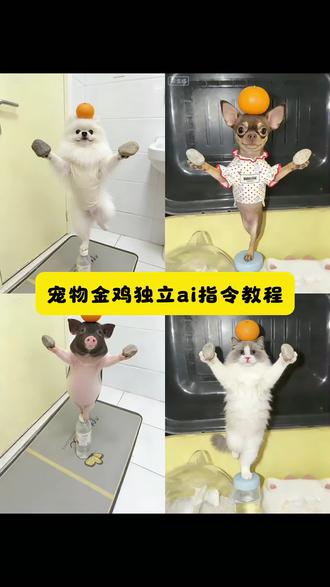 宠物金鸡独立ai指令教程 #豆包ai #ai叶问蹲 #豆包p图已经nextlevel了 #金鸡独立 #豆包p图指令 宠物顶东西 宠物顶东西ai指令 宠物顶东西ai特效教程 宠物顶橘子 宠物顶石头 宠物顶橘子和石头ai指令 宠物顶个苹果ai 宠物顶食物 宠物金鸡独立 宠物金鸡独立特效 宠物金鸡独立口令 宠物金鸡独立视频 金鸡独立挑战 金鸡ai指令大全 仓鼠金鸡独立姿势 仓鼠站姿图片 仓鼠站立举手图片 仓鼠站立全身 叶问蹲ai特效 叶问蹲ai宠物金鸡独立 叶问蹲ai特效教程 叶问特效拍同款 叶问蹲 叶问蹲ai特效一键生成 叶问ai特效 金鸡独立姿势 金鸡独立拍照动物 金鸡独立拍照姿势 狗狗功夫ai生成指令 狗狗金鸡独立特效教程 狗子练武ai生成口令 狗狗金鸡独立ai指令 狗子练武ai免费生成 狗子练武ai制作教程 狗狗打拳ai指令 ai生成小狗武术口令 狗狗功夫特效ai生成口令 猫咪功夫ai生成指令 猫咪打拳ai生成指令 狗子ai生成打拳视频教程 狗狗打拳ai豆包指令 狗子跳舞ai生成 打拳特效ai特效小狗 狗狗打拳ai特效教程 狗狗金鸡独立怎么拍 狗狗指令ai生成指令 狗狗金鸡独立拍摄技巧 猫咪顶东西ai指令 ai叶问蹲制作教程 ai叶问蹲指令 叶问蹲ai描述词 小猫叶问蹲口令 小猫叶问蹲教程