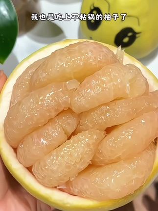 正宗福建平和老树白心蜜柚皮薄肉厚汁水充盈#白心蜜柚 #柚子 #柚子皮 #柚子柚子切克闹
