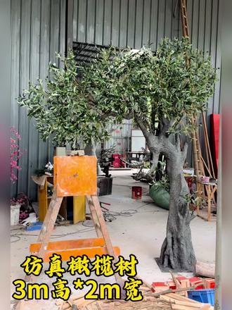 玻璃钢假树室内造景商场美陈仿真橄榄树定制#仿真橄榄树 #假树 #仿真树厂家 #佛山仿真树厂 #仿真橄榄树生产厂家