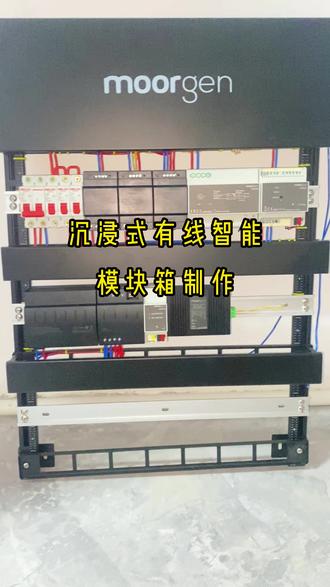 拆理线架+装模块,智能箱这样做 有线智能模块箱是核心,拆理线架+装模块,智能箱这样做。#智能家居 #摩根智能 #智能灯光 #有线智能家居 #摩根智能