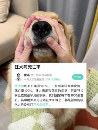 一定要给狗狗测!这样被抓伤也不用担心 #狂犬病 #养狗人 #养狗经验分享 #我和我的狗 #毛孩子也是孩子