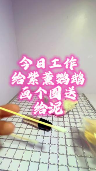 牡丹鹦鹉画个装#鹦鹉
