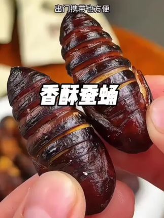 #香酥蝉蛹 #超便宜超划算 #好吃到停不下来 #妈呀太香了 #解馋