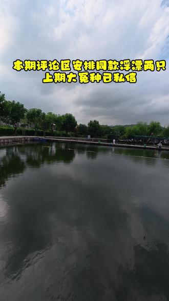 黑坑回锅鲢鳙,成功开光金泉青龙巨物S#金泉青龙巨物S #老g黑坑鲢鳙 #紫泉浮漂 @逸都紫泉专卖店 @金泉官方旗舰店 #青花线组