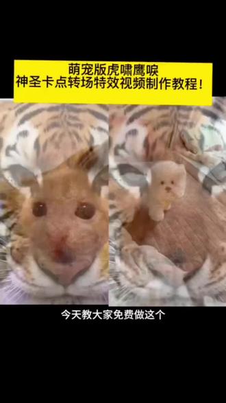 萌宠版虎啸鹰唳神圣卡点转场特效视频制作教程!
# 一种很神圣的卡点 #猛虎猫咪转场 # 猛虎与猫咪转场玩法
#一种很神圣的卡点教程
#神圣的卡点模板 #剪映
一种很神圣的卡点也是被你用上了 # 老虎吼叫声 老鹰特效
# 狗狗超燃剪辑 狗狗压迫感超燃剪辑 # 老虎老鹰卡点 老虎老鹰卡点视频制作 神圣卡点老虎
猛虎转场
猛虎转场特效
猛虎开场特效
不知道反正咪的身材很曼妙
#不知道反正身材很曼妙原视频
猛虎猫咪图片