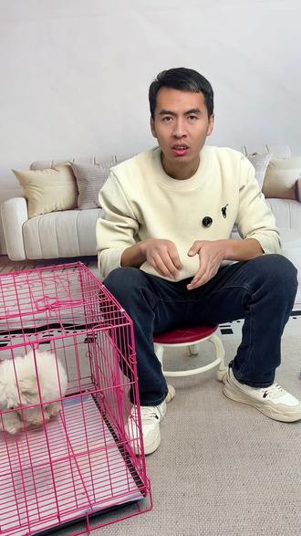 狗狗关笼子乱吼乱叫,怎么解决#养狗人#养狗经验分享