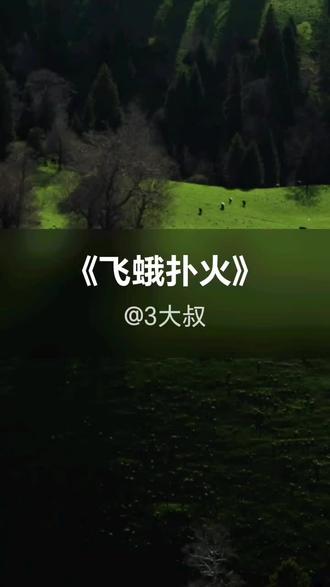 为何还要飞蛾扑火#是被情所困是为爱蹉跎 …展示