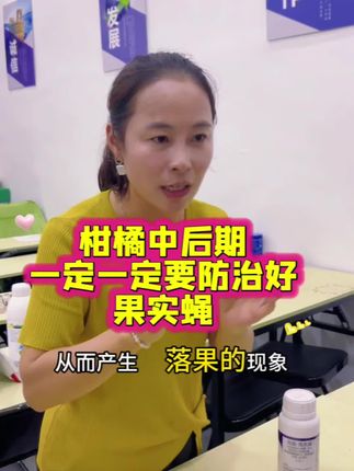 柑橘中后期一定一定要防治好果实蝇#农业种植 #柑橘种植 #病虫害防治用药方案 #关注我柑橘种植不迷路