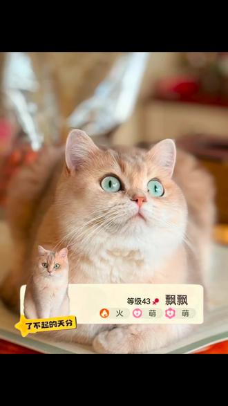 出异色了 还是了不起的天分#了不起的天分p图教程#洛克王国#质感美学 #醒图焚决的神 #p图前后对比