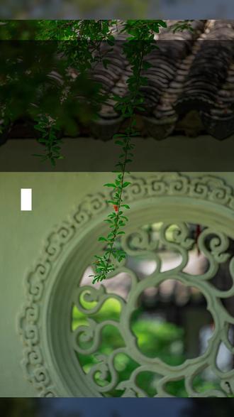 这个字我念错了大半辈子,一个老先生用三句话让我脸红到现在 有件事我憋了大半年,今天才想好怎么说。去年秋天在苏州,一个老先生在藕园里问了我三个问题,把我问得一句话都接不上,当时脸上火辣辣的,现在想起来还是,不是因为没面子,是因为那三个问题,把我以前以为自己懂的东西,一下全打碎了。