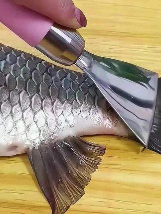 家用不锈钢鱼鳞刨工具厨房款刮鱼鳞器手动打鱼刀厨房去鱼鳞小工具 多功能不锈钢鱼鲼刨家用刮鱼鳞器手动打鱼刀厨房去鱼鳞工具锋利#刮鱼鳞 #去鱼鳞器 #好物推荐 这款不锈钢鱼鳞刨用起来很方便 ,刮鱼鳞轻松搞定 不伤鱼皮不脏手#厨房好物