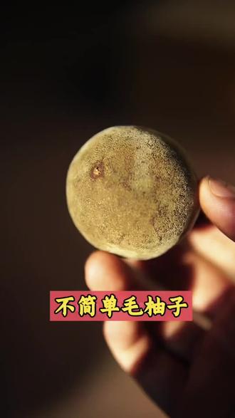 1600多年的历史,经过几代人的不懈努力,终于走上新的道路,让更多人去了解它#化橘红#化州橘红 #化橘红是什么 #非物质文化遗产