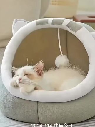 猫窝 宠物窝