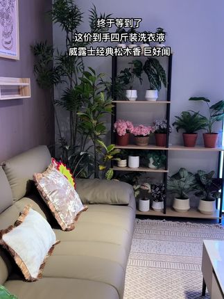 啊啊啊!还得是威露士啊!松木香调的洗衣液真的太好闻啦!#洗护好物 #威露士la有氧洗衣液 #污渍轻松去除 #洗衣液 #超便宜超划算