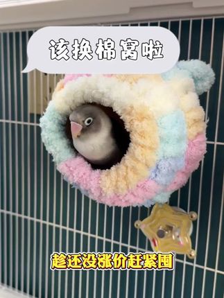 秋天到了昼夜温差大就给它们准备了这个棉窝,鹦鹉住里边温暖又舒服#鹦鹉棉窝