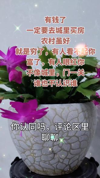 你有钱会在城市里买房吗,都聊聊来