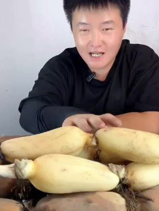 2025现挖现发带泥新鲜莲藕湖北洪湖特产新花藕脆甜可生吃的水果藕#新鲜莲藕#脆甜可口#水果莲藕