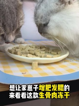 猫猫增肥发腮就选良鲜萌生骨肉冻干!#萌宠 #吃货猫 #养猫新手 #宠物食品 #科学养宠攻略