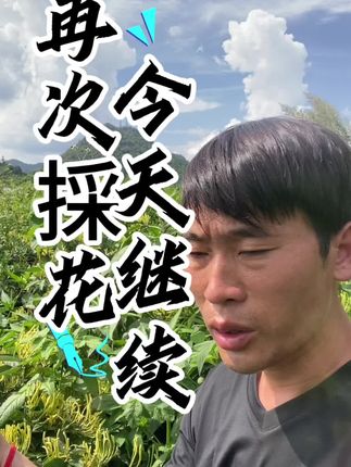 劳动人最可爱!加油干!相信明天会更好!#原创视频 #农民不易 #生活