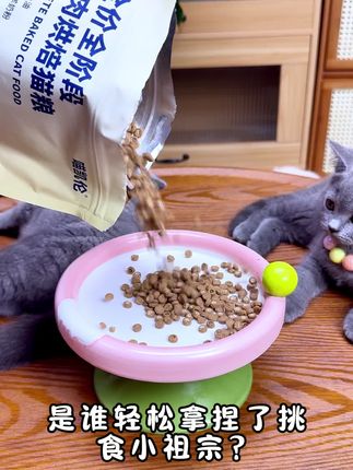 #喵凯伦猫粮 #喵凯伦 #猫粮 #视频同款 #养宠