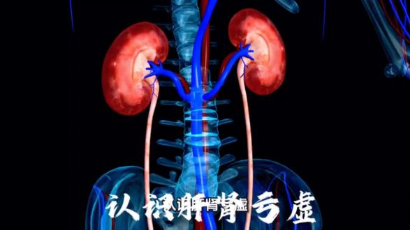 肾湿肝肾亏虚#中医理论怎么说