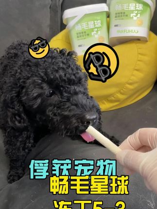 超棒的俘获星球畅毛冻干棒棒~我家崽子们一直在吃哒~#懒人必备 #萌宠日常记录我家毛孩子 #新手养宠 #俘获宠物 #俘获畅毛星球冻干