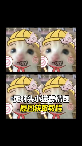 死对头小猫表情包获取教程来了,#剪映 #死对头小猫 #死对头小猫表情包 #takeru猫咪表情包 #takeru猫 , takeru猫在微信怎么搜,死对头小猫微信怎么搜,takeru猫表情包微信关键词,死对头表情包叫什么,死对头小猫微信搜图教程,死对头小猫微信原图,死对头小猫微信表情包,死对头表情包叫什么名字,死对头小猫 死对头小猫微信名推荐,死对头猫meme表情包,死对头小猫微信壁纸,小猫死对头表情包原图,死对头表情包小猫微信上怎么获得,死对头小猫微信搜索方法,死对头小猫无水印原图,小猫死对头图片,死对头小猫微信表情包