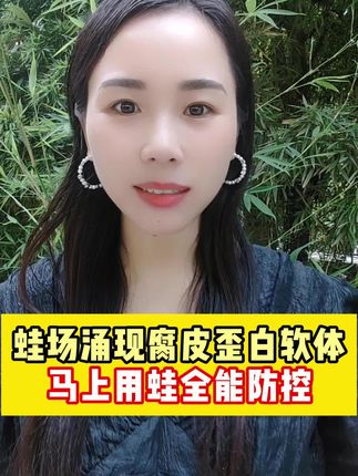 蛙场涌现腐皮歪白软体。就用蛙全能拌料#牛蛙养殖#青蛙养殖#黑斑蛙养殖#泰蛙养殖 #蟾蜍养殖