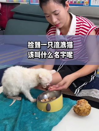 乔乔的幸福生活