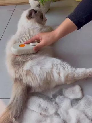 猫狗白色喷雾按摩梳喷雾清洁防飞毛静电不伤猫咪梳子清理器去浮毛#好物推荐🔥