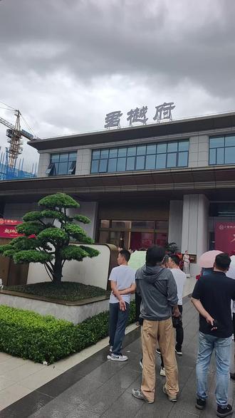 郴江君樾府开盘大吉#欢迎仪式现场