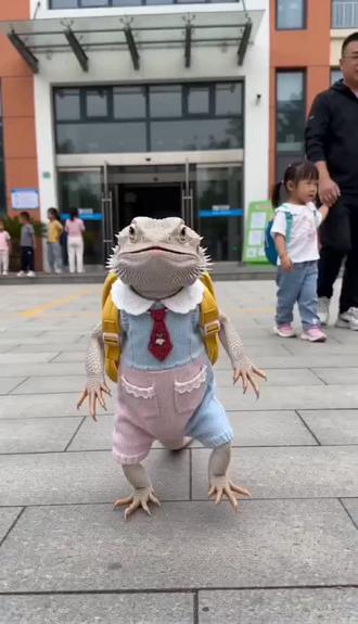 #AI小可爱想吃雪糕